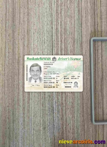 Canada province Saskatchewan driving license photolook